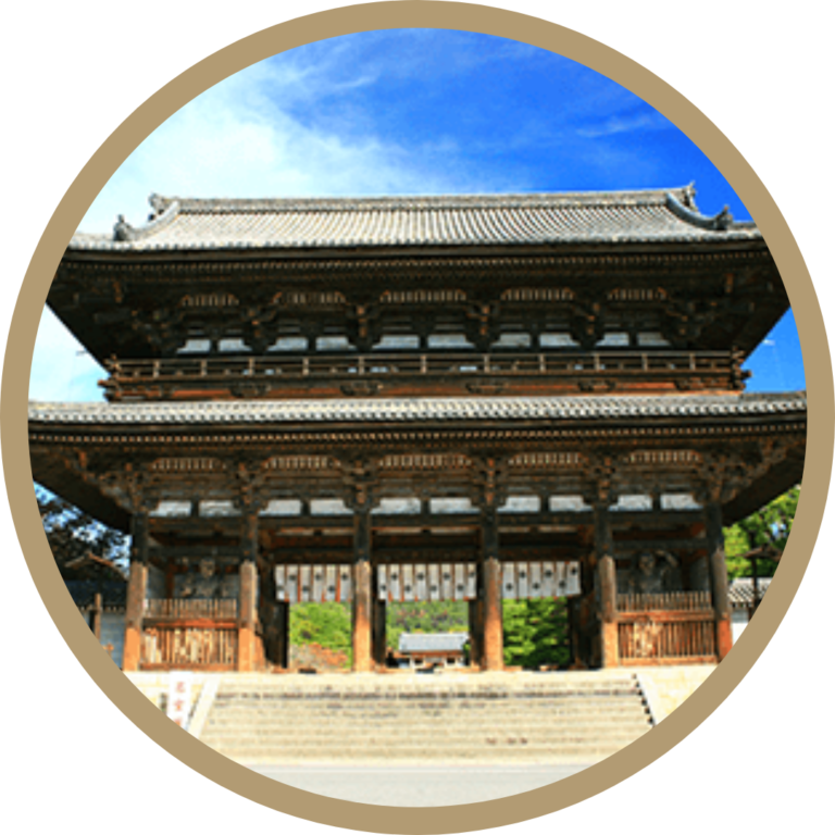 旅介オンライン 紅葉の京都より生中継フルhdのオンラインツアー 外出不要の旅行体験 無料で介護レクリエーションにも
