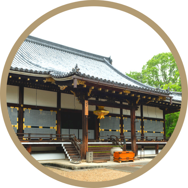旅介オンライン 紅葉の京都より生中継フルhdのオンラインツアー 外出不要の旅行体験 無料で介護レクリエーションにも